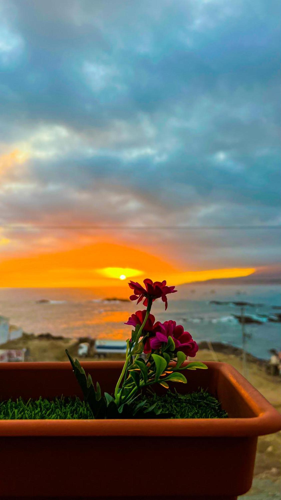 Hotel Aloha Chala Eksteriør bilde